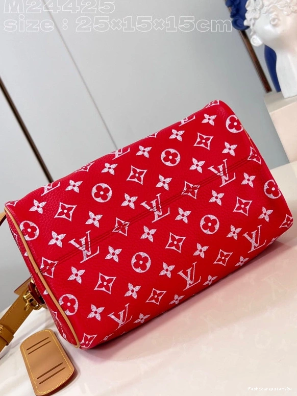 FS CHEAP 25 SPEEDY Louis Vuitton 0724